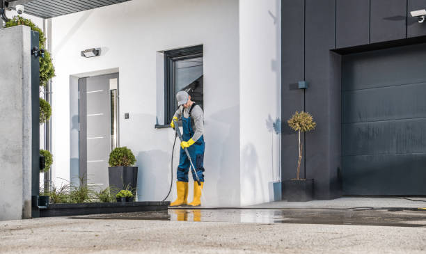 Best Solar Panel Cleaning  in Bangs, TX